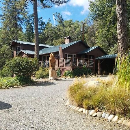Uncle Grizz'S Cabin...Get Intouch With Nature Bass Lake Annex Zewnętrze zdjęcie