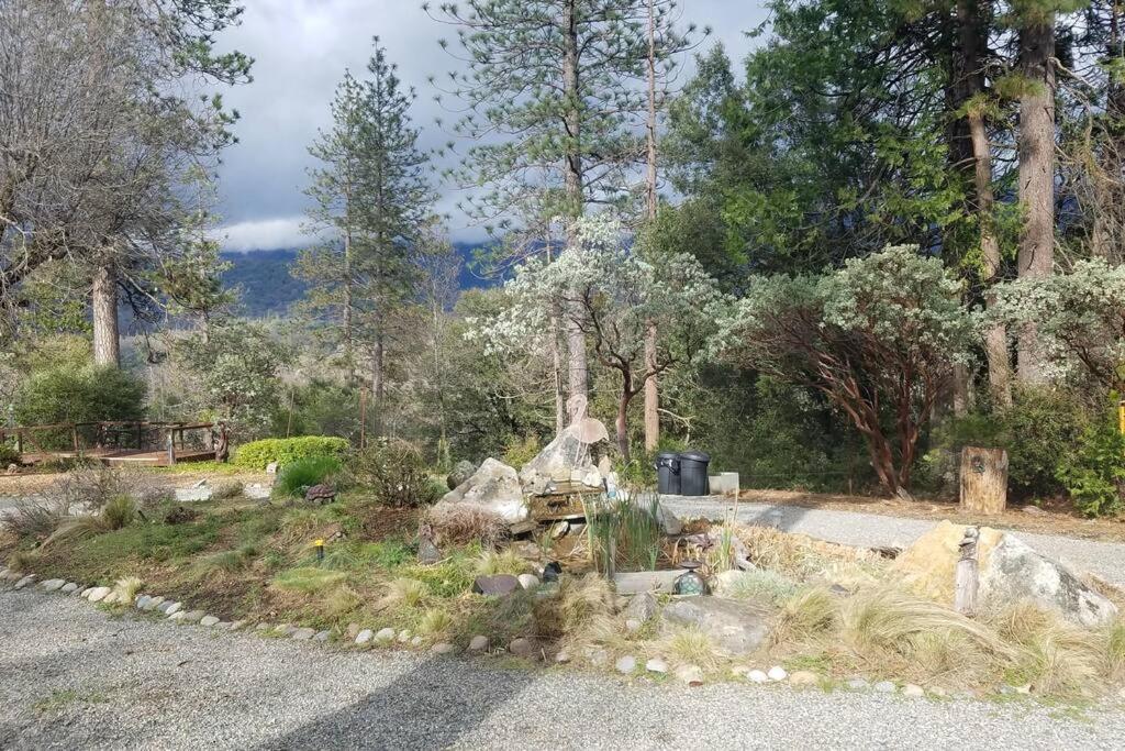 Uncle Grizz'S Cabin...Get Intouch With Nature Bass Lake Annex Zewnętrze zdjęcie