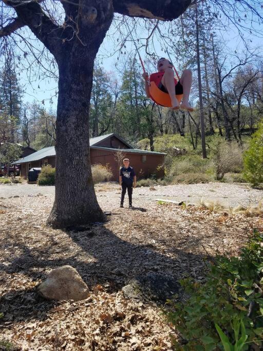 Uncle Grizz'S Cabin...Get Intouch With Nature Bass Lake Annex Zewnętrze zdjęcie